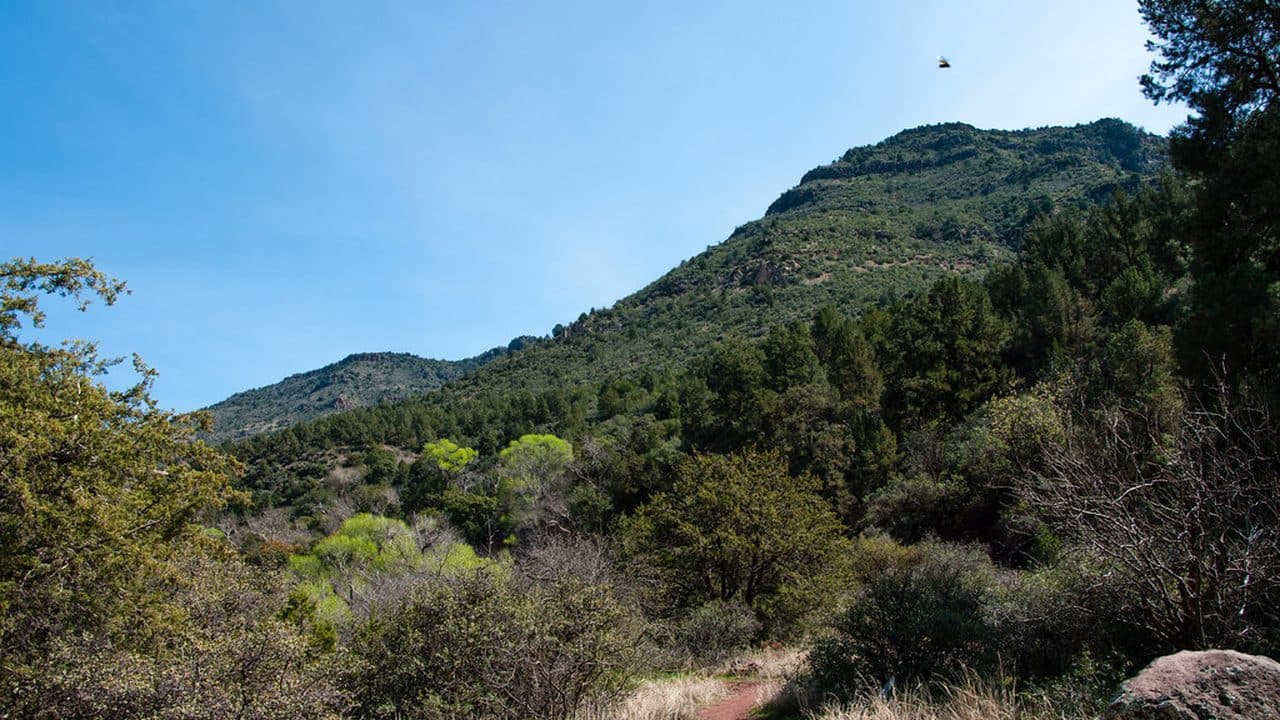 Imagem da notícia: Arrancam obras de restauro ecológico do rio Erges no âmbito do LIFE Alnus Taejo