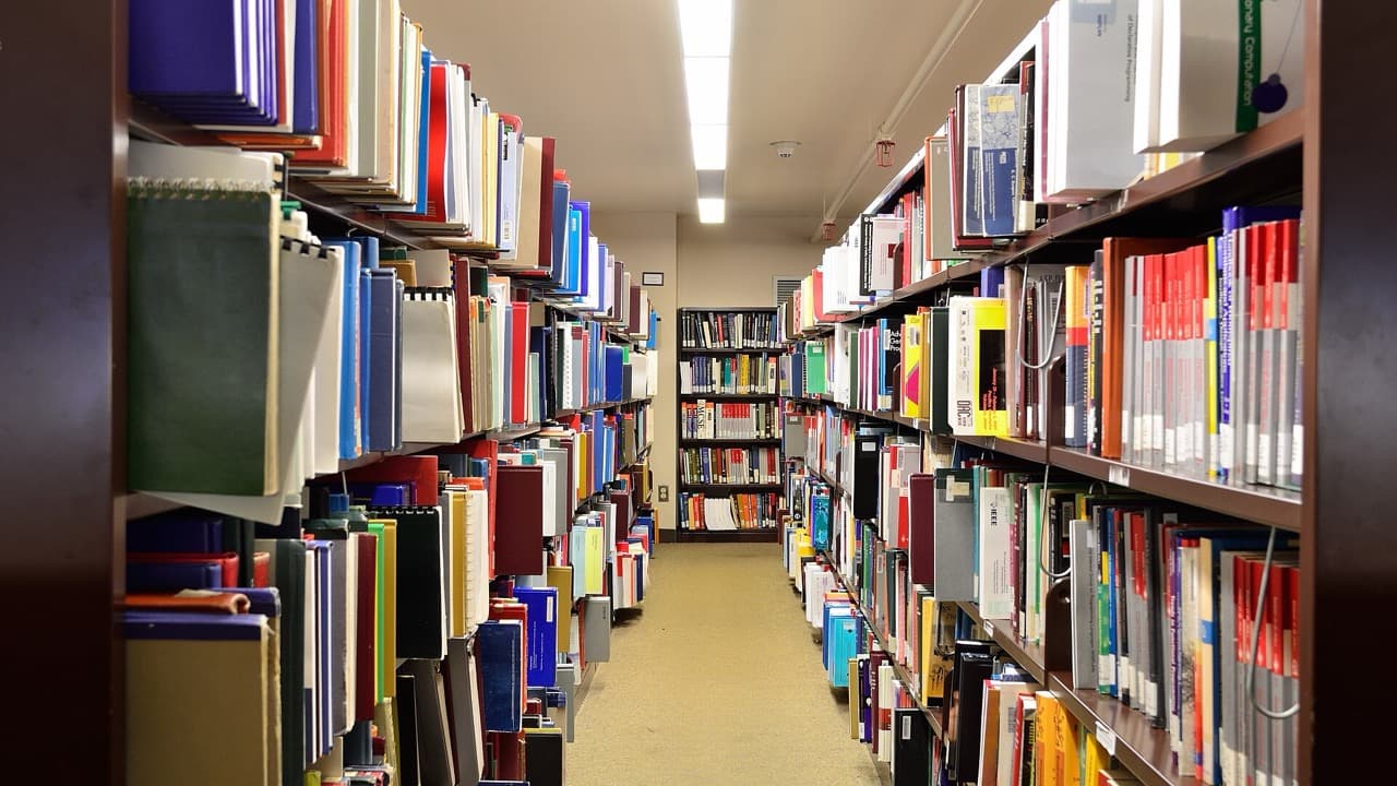 Imagem da notícia: Candidaturas às bolsas de estudo do município abrem a 1 de outubro