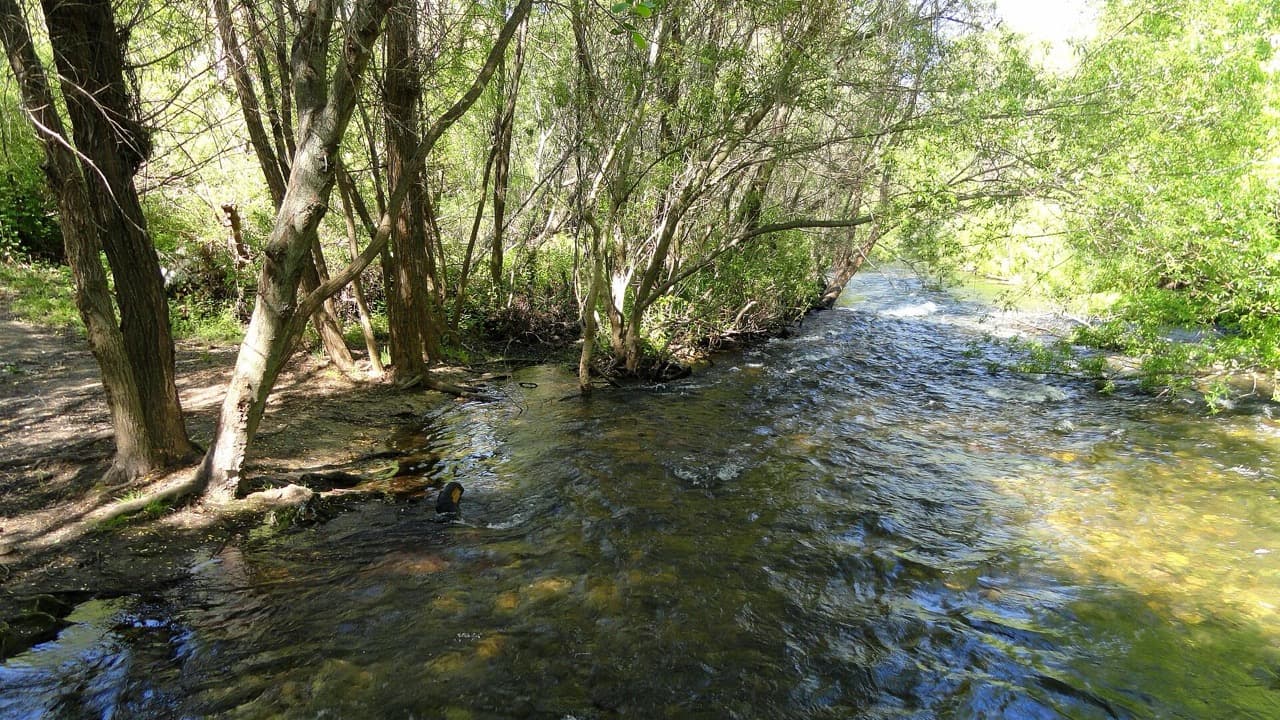 Imagem da notícia: Arrancaram as obras de qualificação ambiental da Ribeira da Sobreira