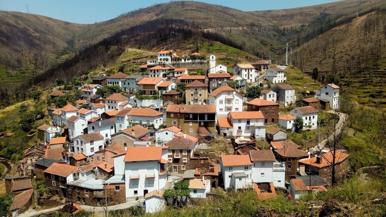 Imagem da notícia: Oleiros celebra Dia do Concelho com homenagens e assinatura de 17 protocolos