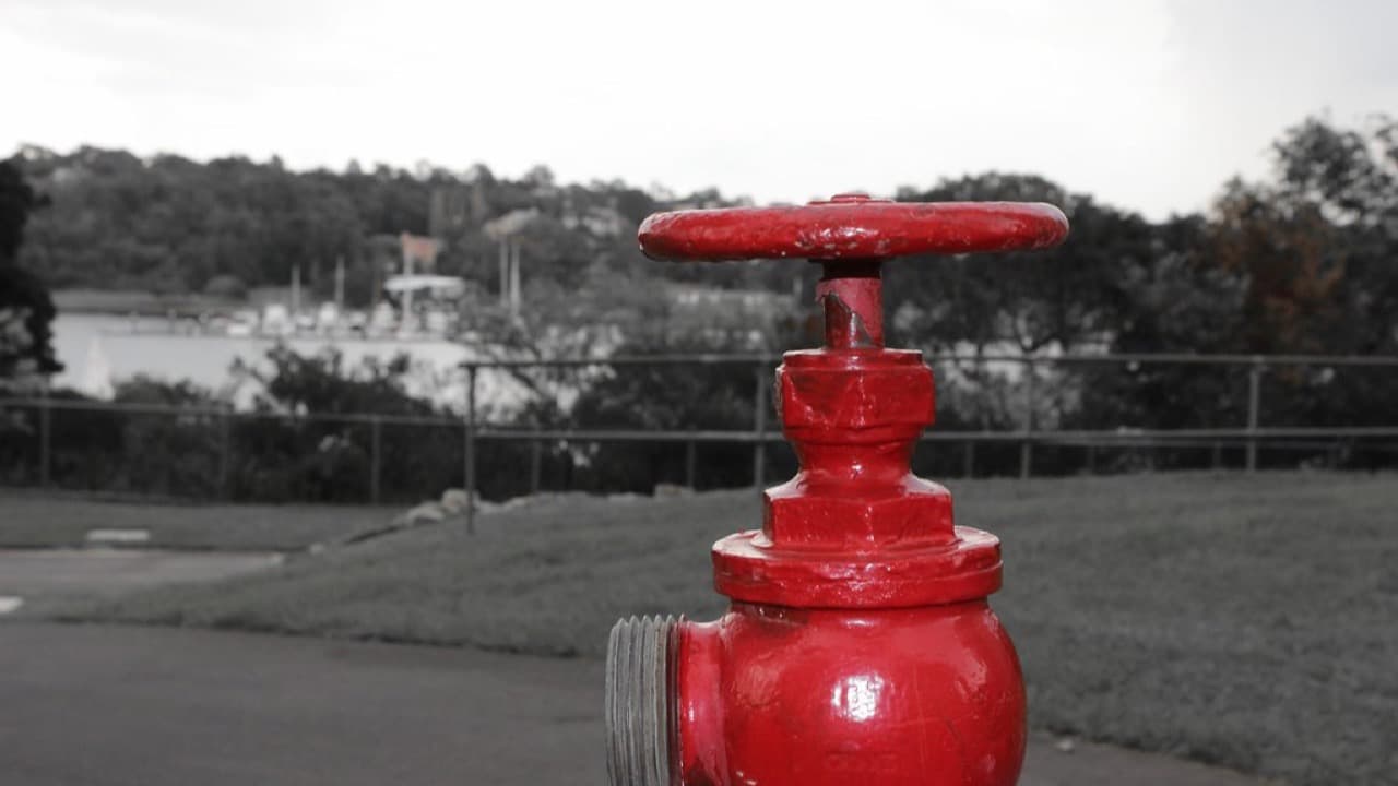 Imagem da notícia: Bombeiros de Pedrógão Grande mudam para instalações provisórias na zona industrial