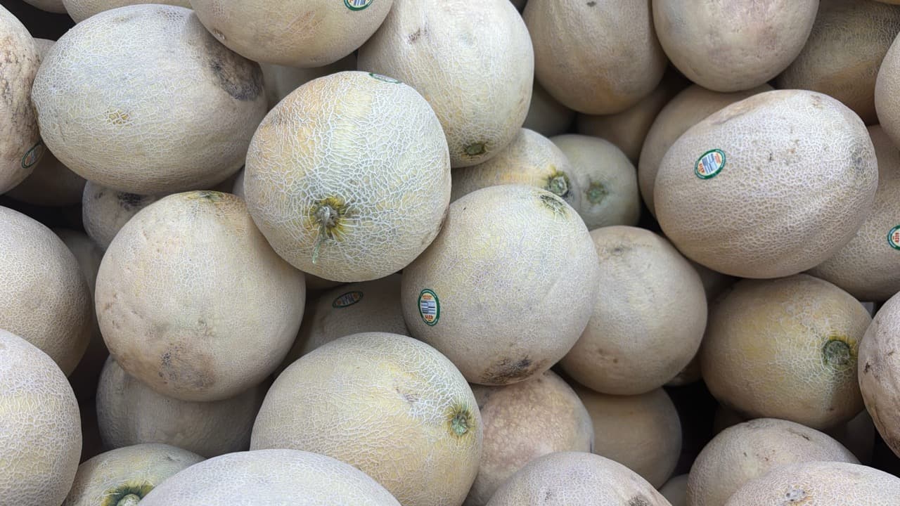 Imagem da notícia: Jardim do Calvário recebe o 5.º Festival do Melão Casca de Carvalho a 5 de setembro