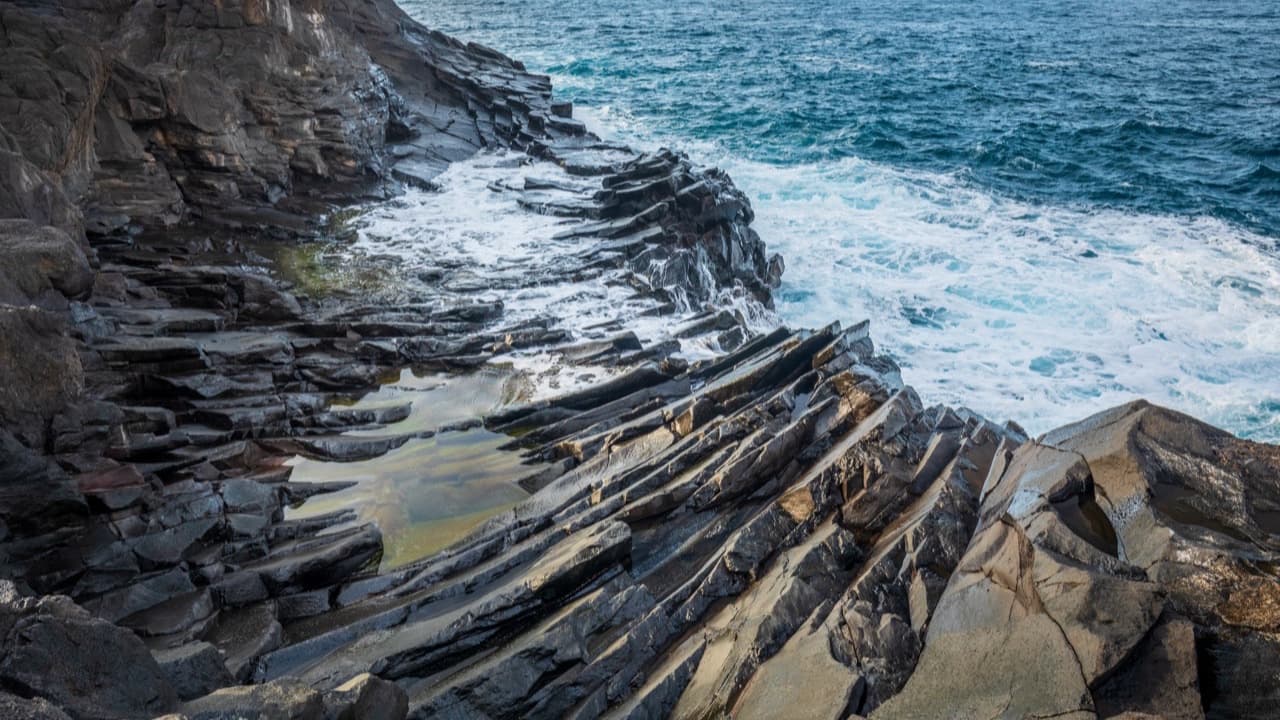 Imagem da notícia: Semana do Mar levou Carolina Deslandes e Diogo Piçarra à frente-mar do Porto Moniz