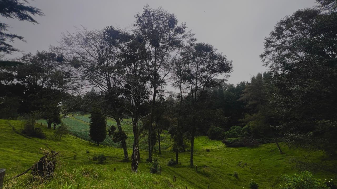 Imagem da notícia: Programa “Verão no Campo” levou mais de 320 crianças e jovens a aprender ao ar livre