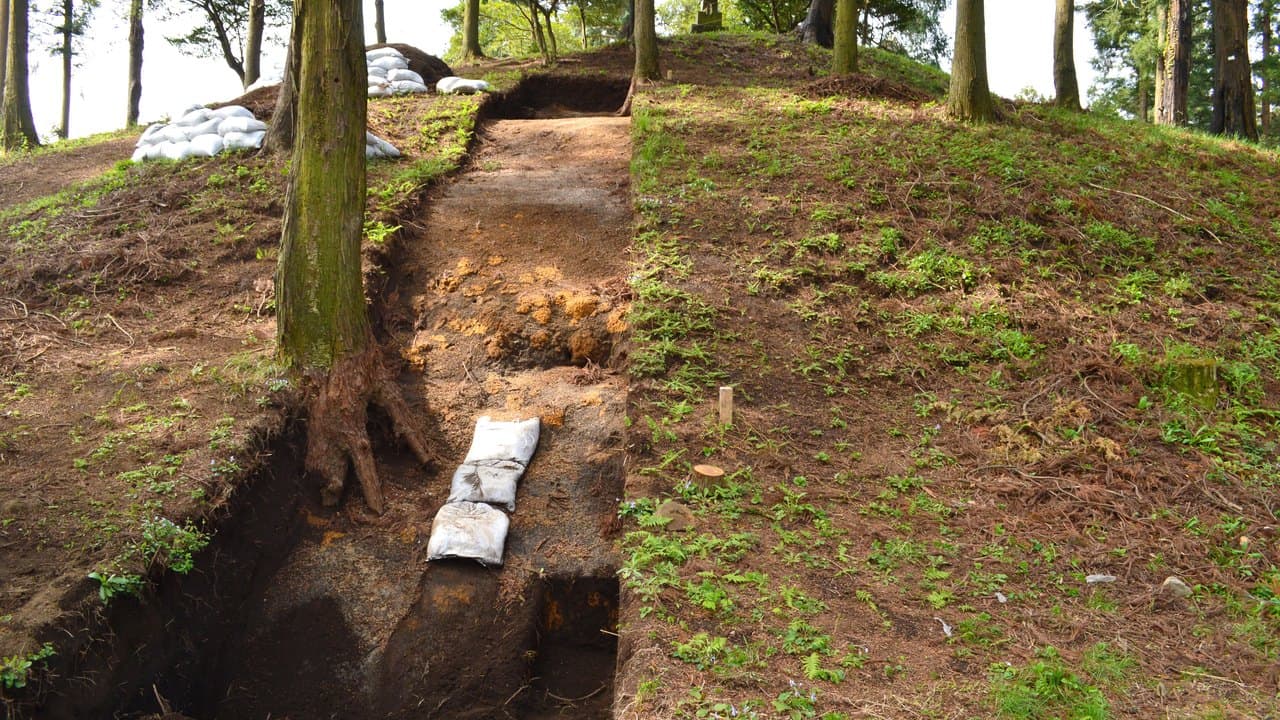 Imagem da notícia: Campo Arqueológico de Proença-a-Nova arranca a 17 de agosto na Igreja Velha do Peral