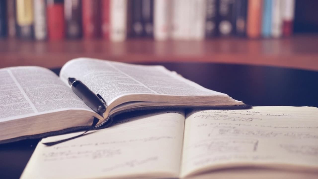 Imagem da notícia: Novos regulamentos reforçam apoio à cultura e às bolsas de estudo em Santa Cruz