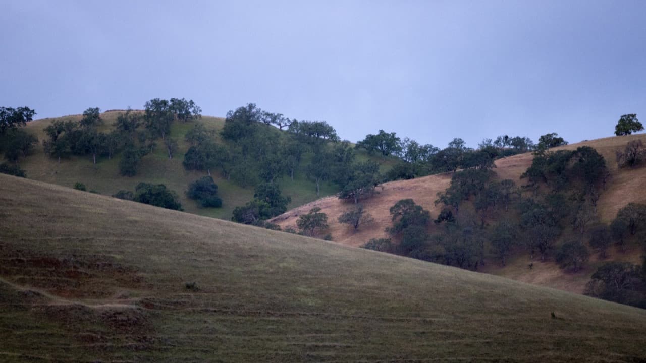 Imagem da notícia: Serras do Socorro e da Archeira: a paisagem protegida do concelho a descobrir a pé
