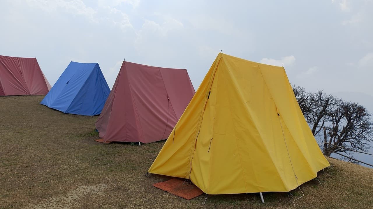 Imagem da notícia: SCOUTin Trofa 2026 junta os agrupamentos de escuteiros do concelho em Covelas