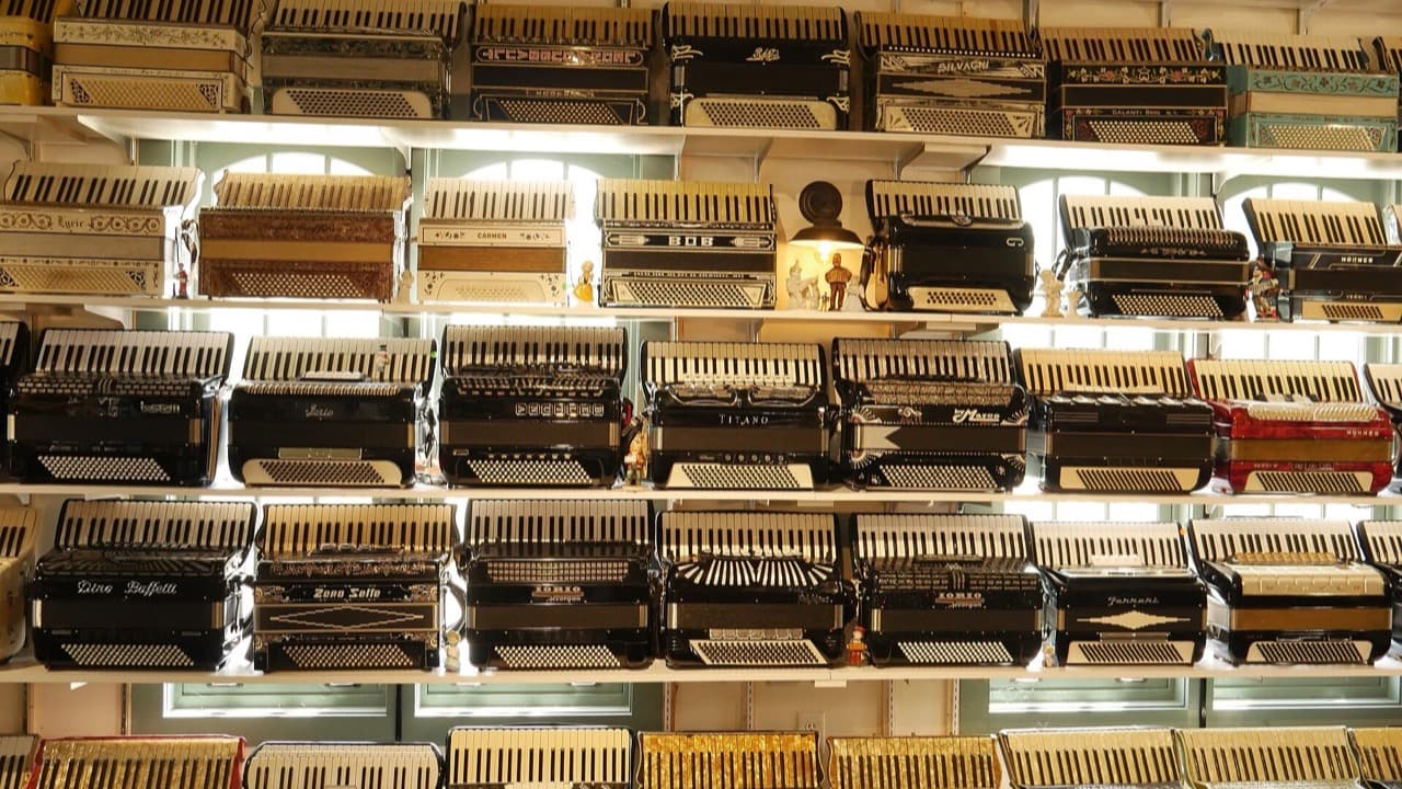 Imagem da notícia: Mais de 40 concertinas encheram o centro da vila de música e tradição