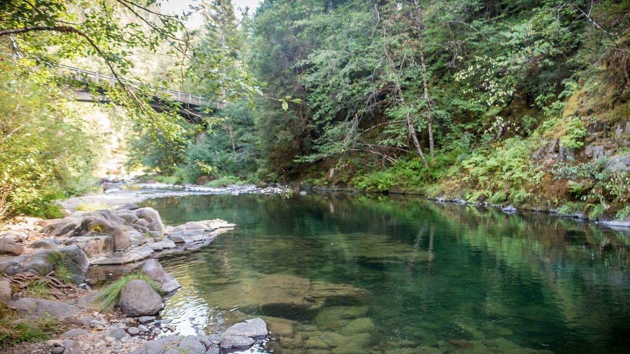 Imagem da notícia: Praia Fluvial dos Carvalhos volta a receber o galardão “Praia Qualidade de Ouro”