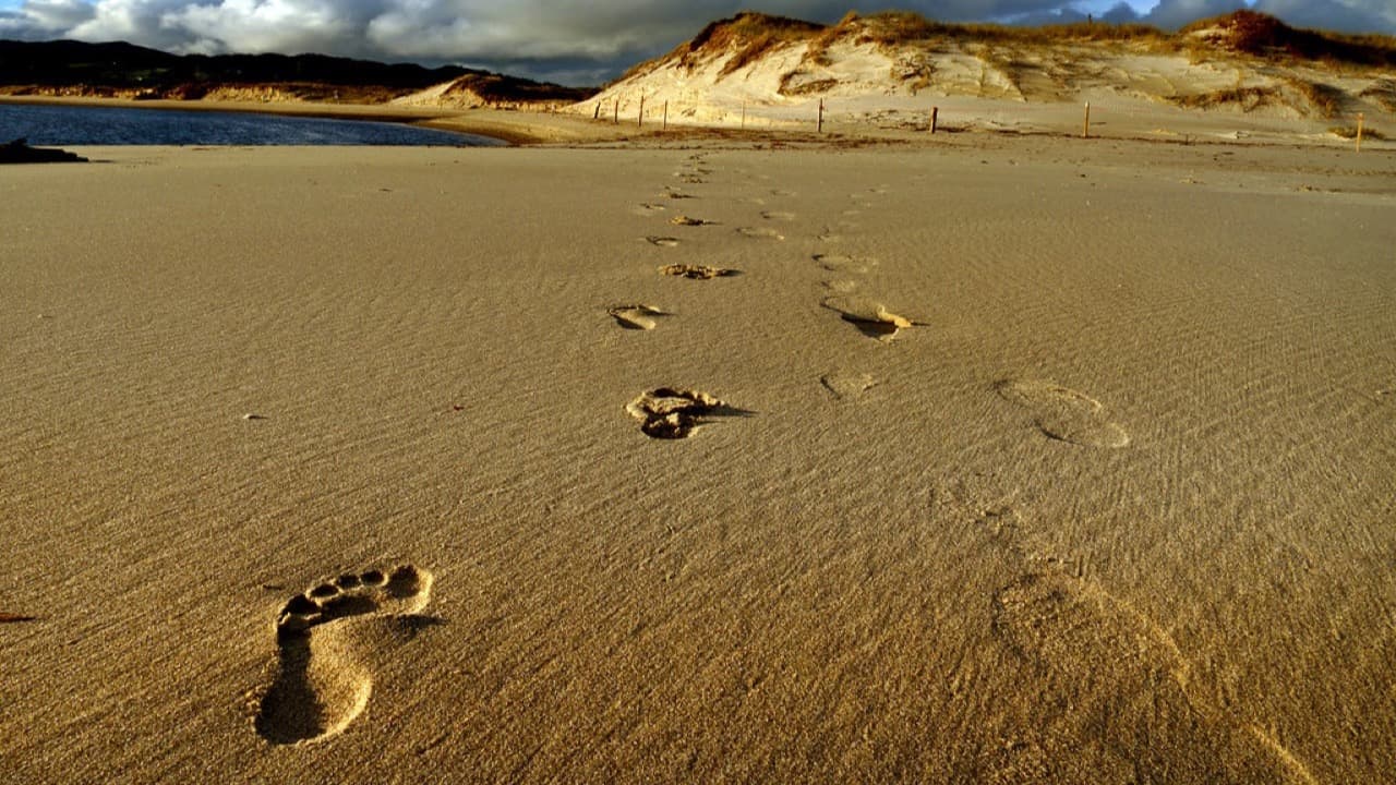 Imagem da notícia: Vila do Bispo mantém apoio aos campos de férias de verão em Budens e Sagres