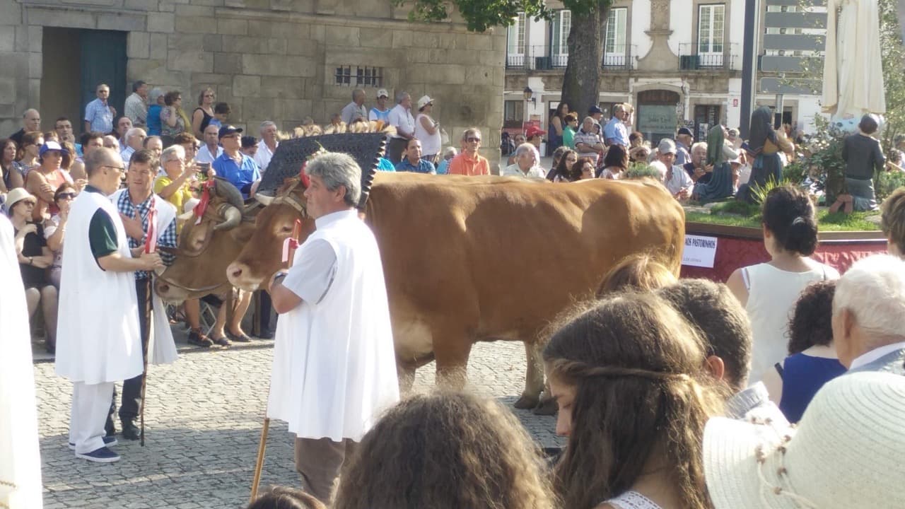 Imagem do evento: Festa em Honra de Nossa Senhora da Ajuda