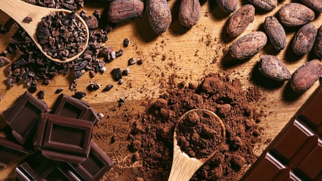 Imagem da notícia: Óbidos acolhe a 1.ª Conferência Nacional do Chocolate a 30 de setembro