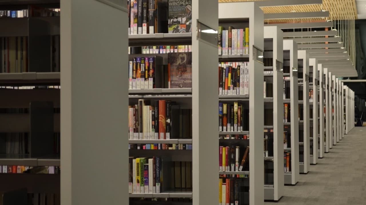 Imagem da notícia: Biblioteca Municipal José Saramago reabre a 5 de setembro com um dia de programa cultural