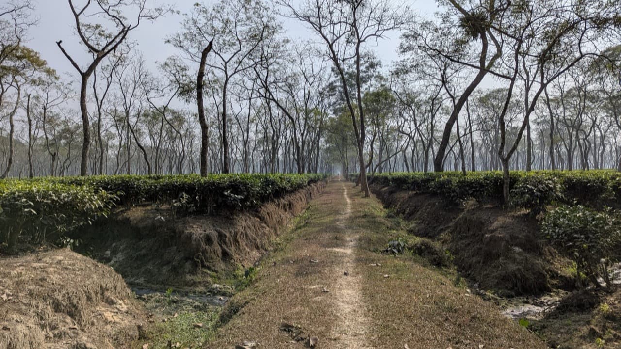 Imagem do evento: Trail Rios e Levadas Teaga Aventura