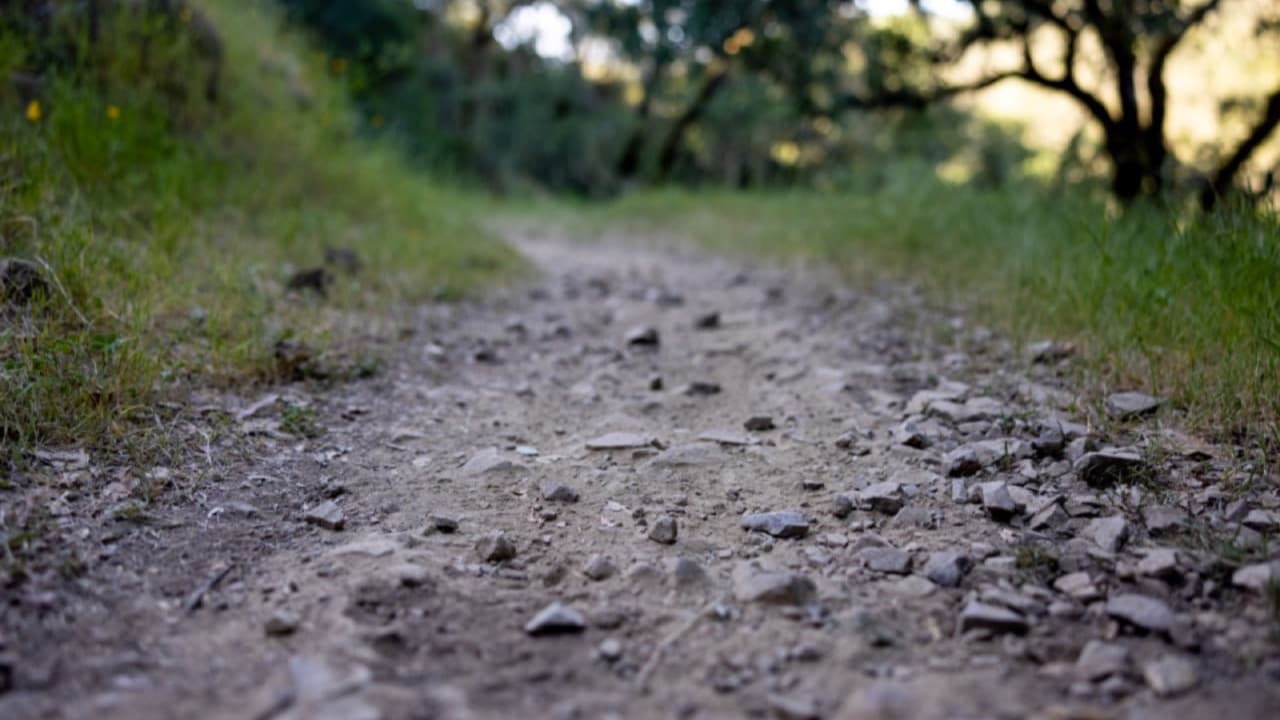 Imagem do evento: Caminhada Mindfulness no Vale Secreto do Rio Nabão