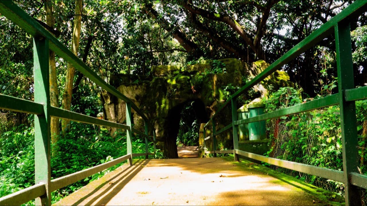 Imagem da notícia: Ponte Pedonal da Ribeira de Moninho inaugurada na entrada poente da vila