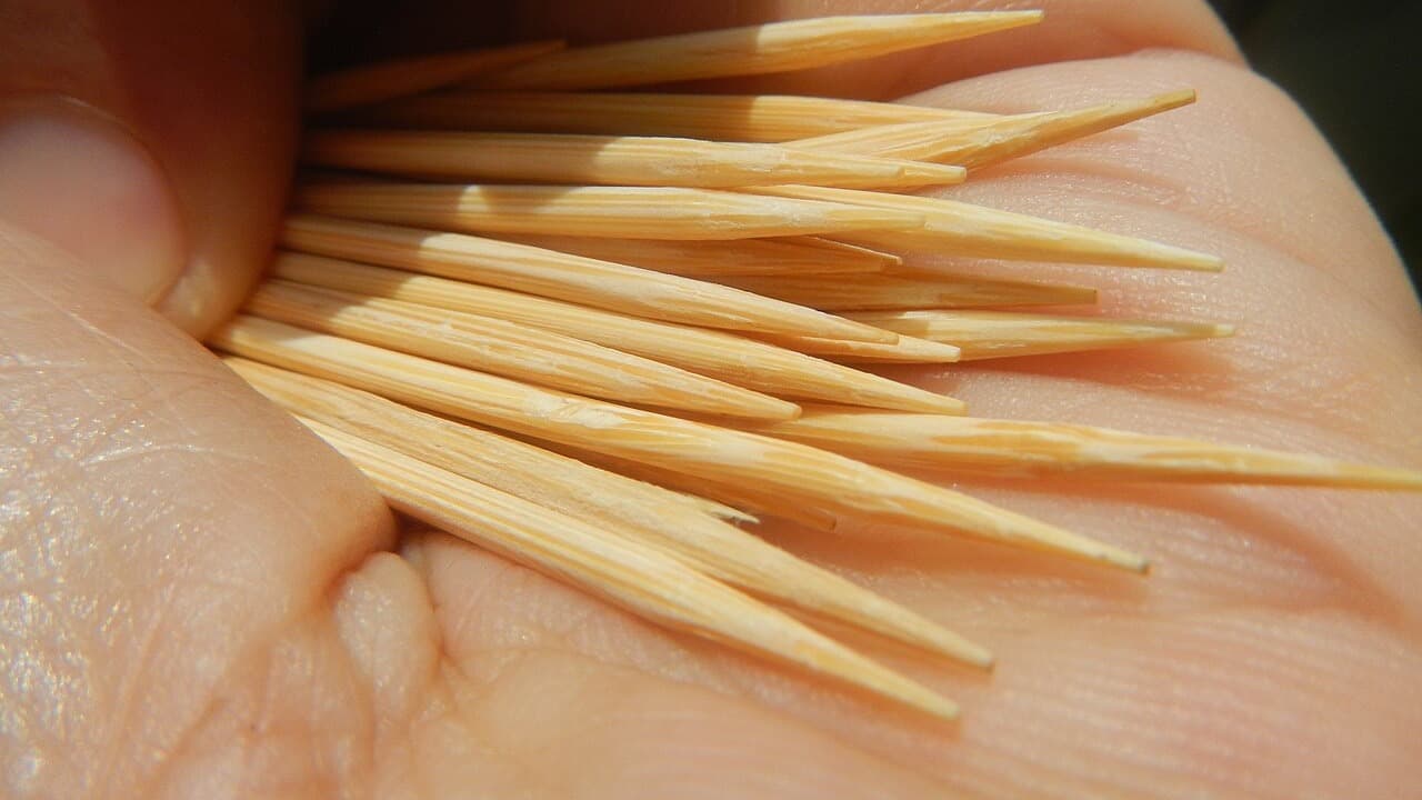 Imagem da notícia: Palitos de Lorvão: um artesanato com séculos ligado ao mosteiro