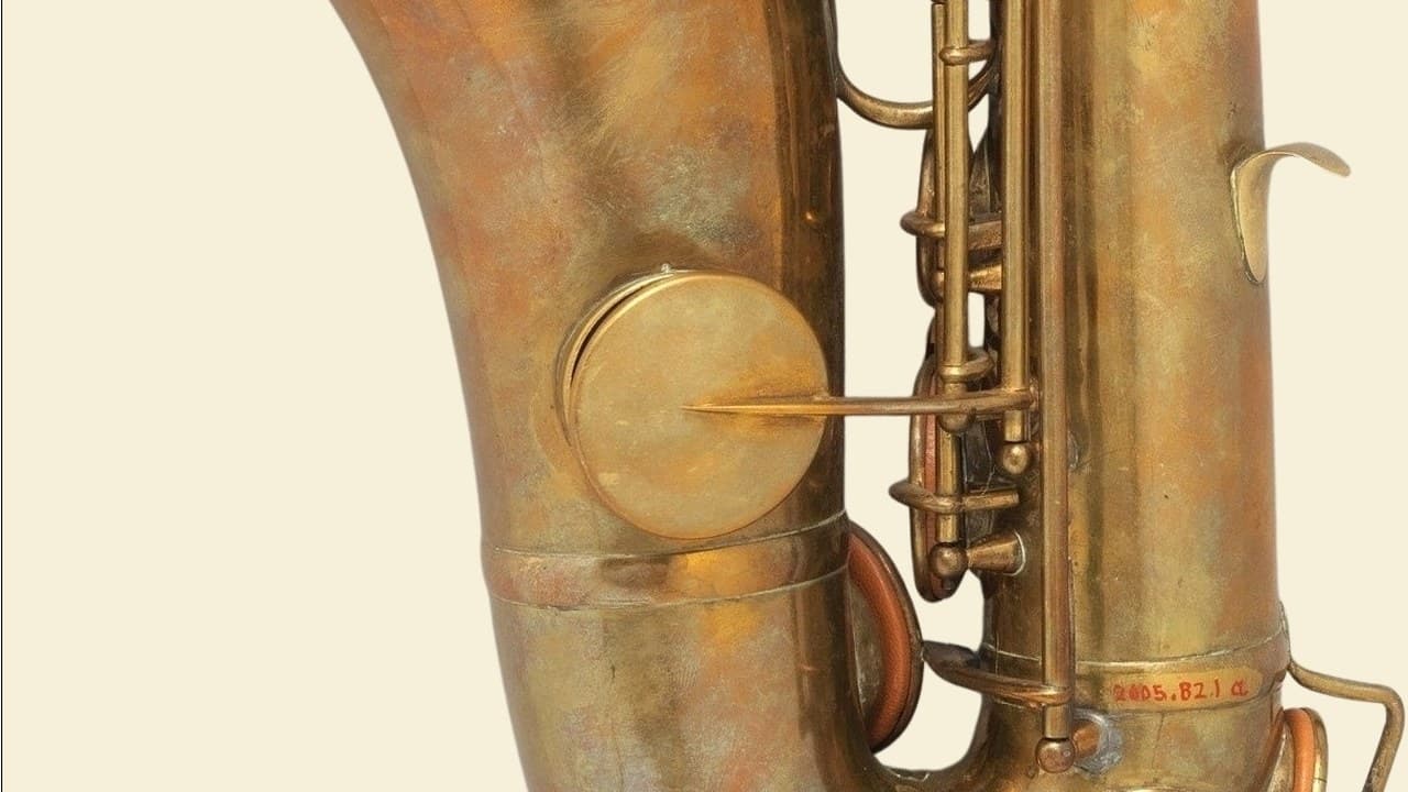 Imagem da notícia: «Ressonâncias do Dão» estreou música para saxofone nos Paços do Concelho