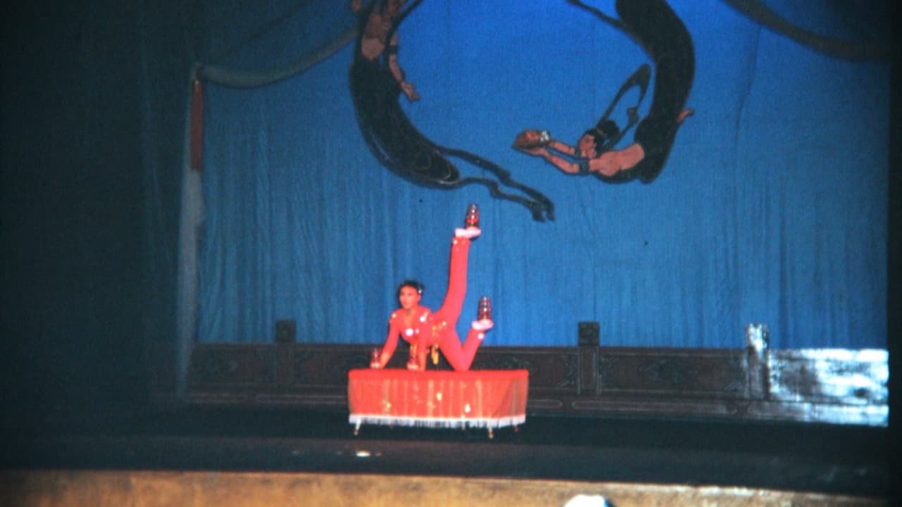 Imagem da notícia: Circo contemporâneo francês fecha o Sete Sóis Sete Luas em Pombal com «La Panne»