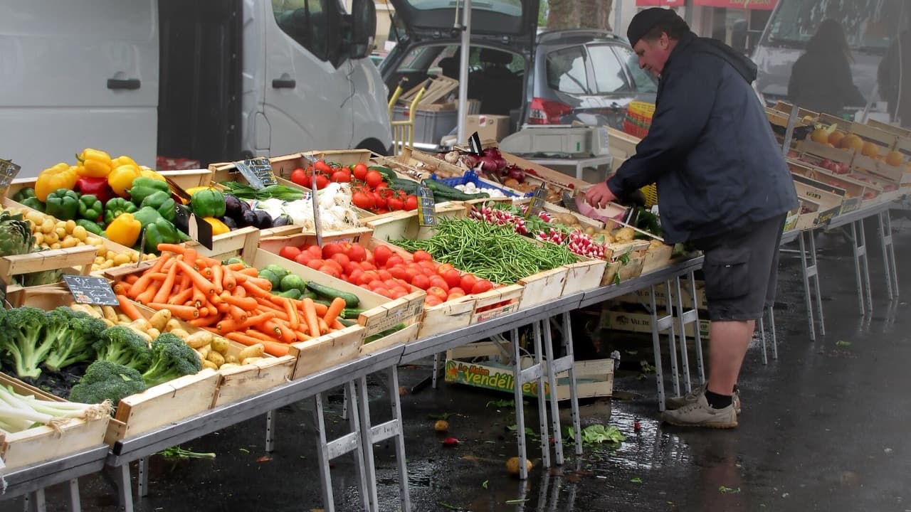 Imagem da notícia: Frutimade abre no sítio do Penedo e reforça a oferta de frutas e legumes no Porto Santo