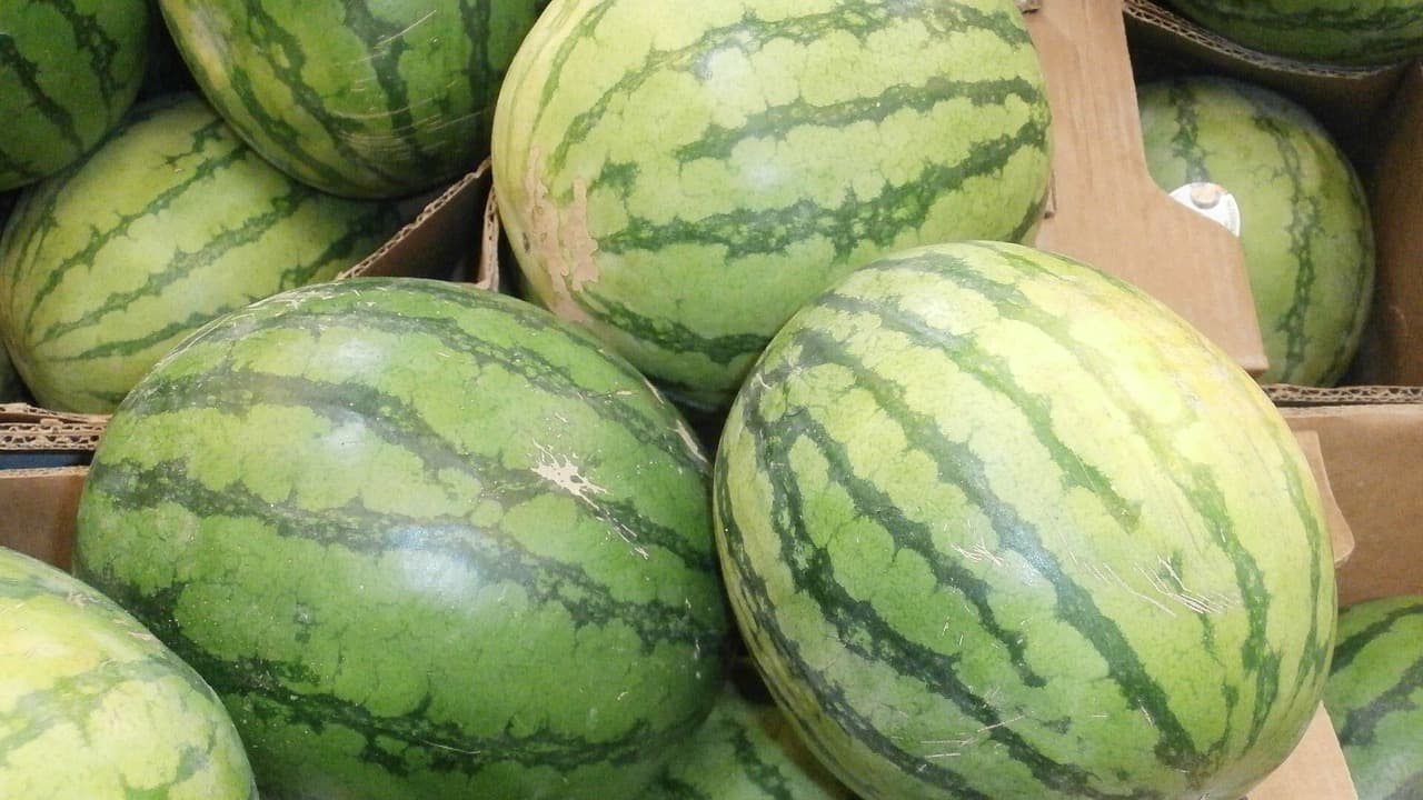 Imagem do evento: Feira da Melancia