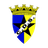 Emblema do Clube Desportivo Salvaterrense