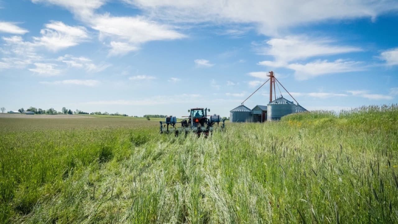Imagem da notícia: FARM regressa a Santana de 9 a 11 de outubro