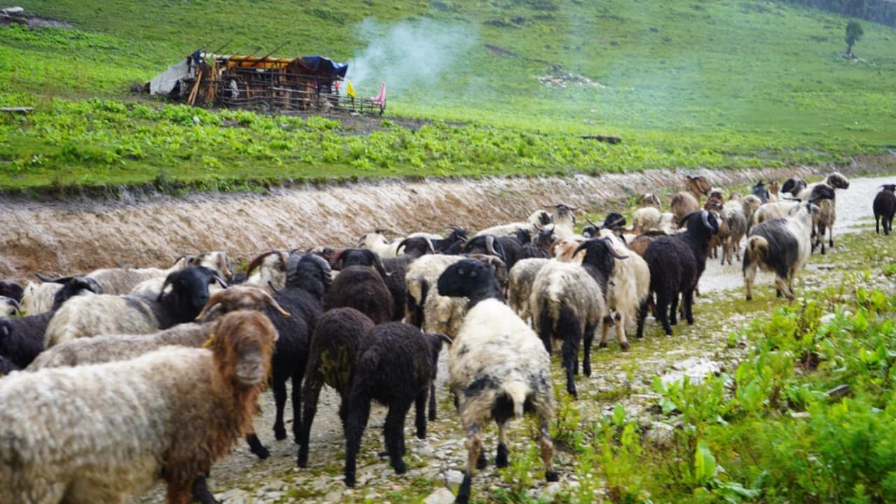 Imagem da notícia: Feira Agropecuária Transfronteiriça regressa a Vale do Poço em setembro