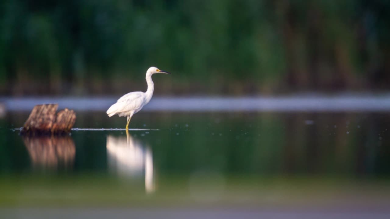 Imagem do evento: Explorar a Lagoa Pequena