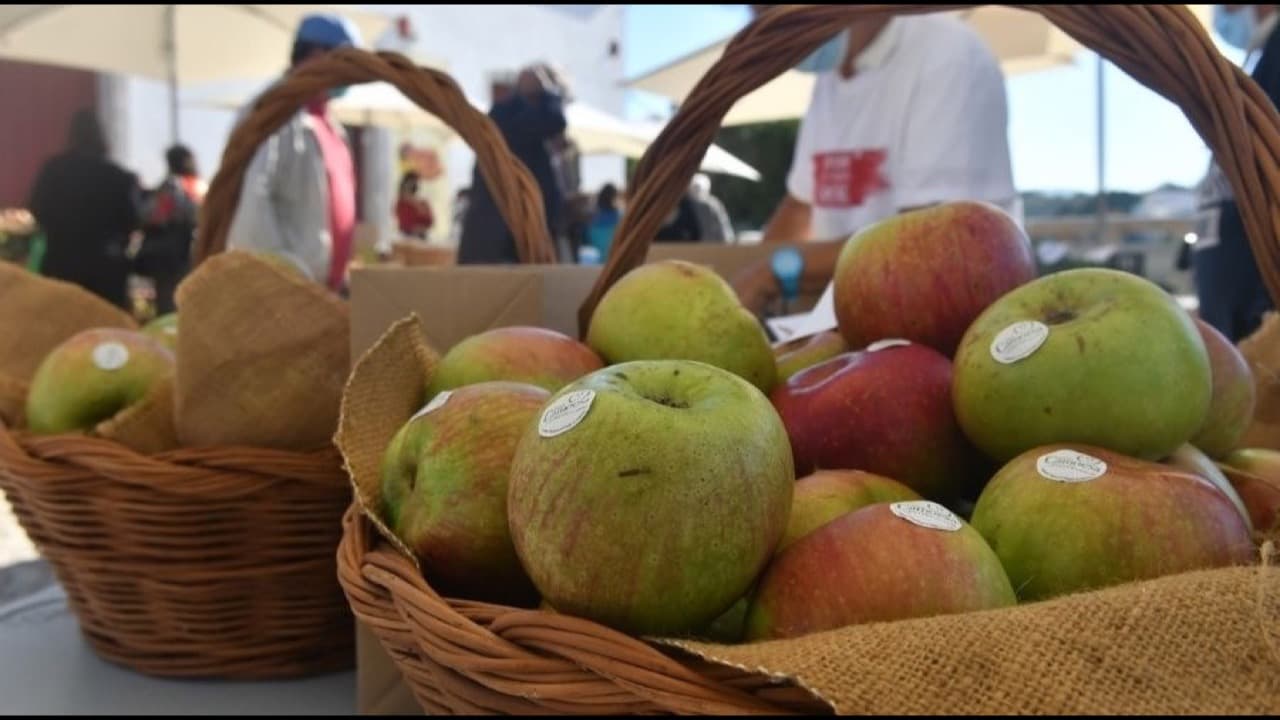Imagem do evento: XIV Mostra de Maçã Camoesa, Doçaria e Pão