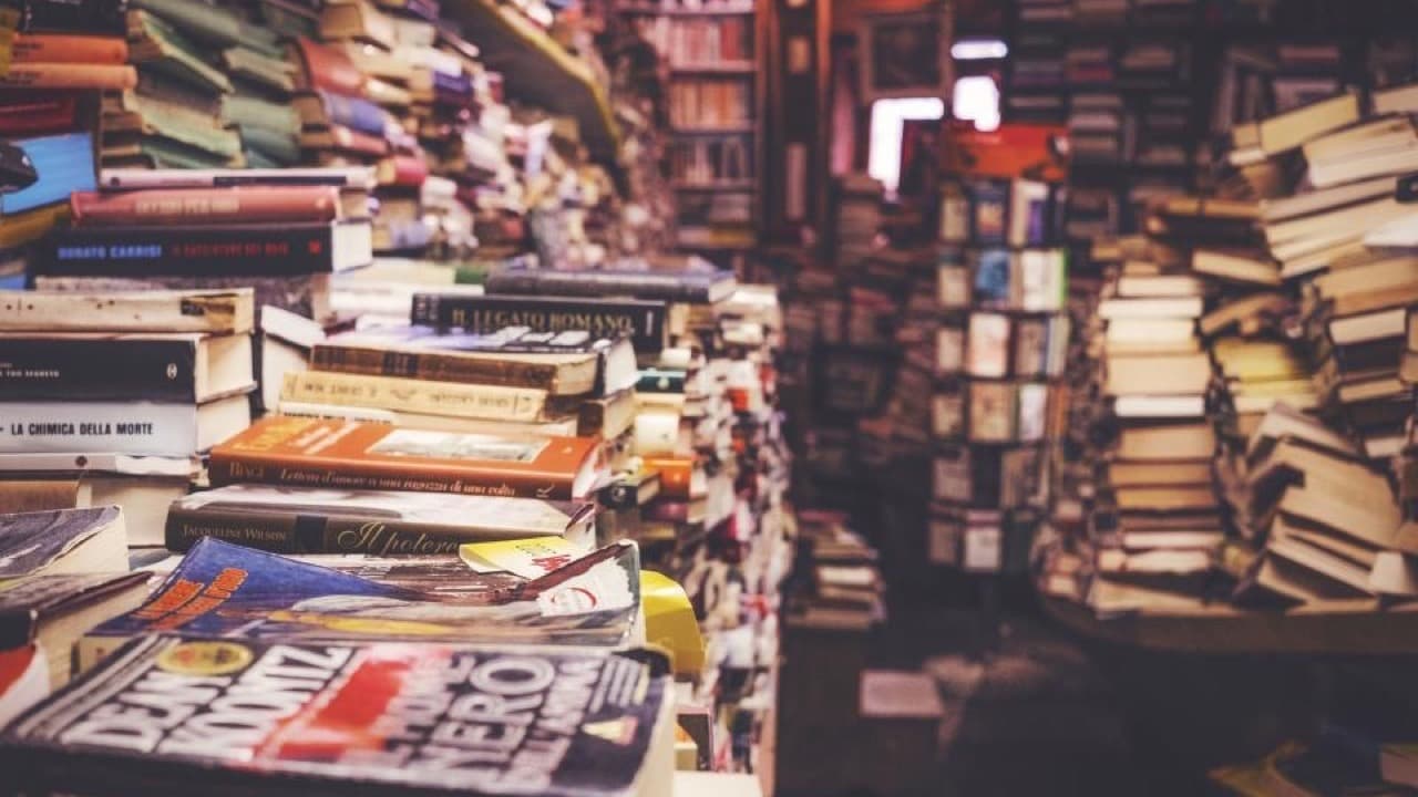 Imagem da notícia: Biblioteca Municipal assinalou o Dia dos Avós com histórias na creche da Misericórdia