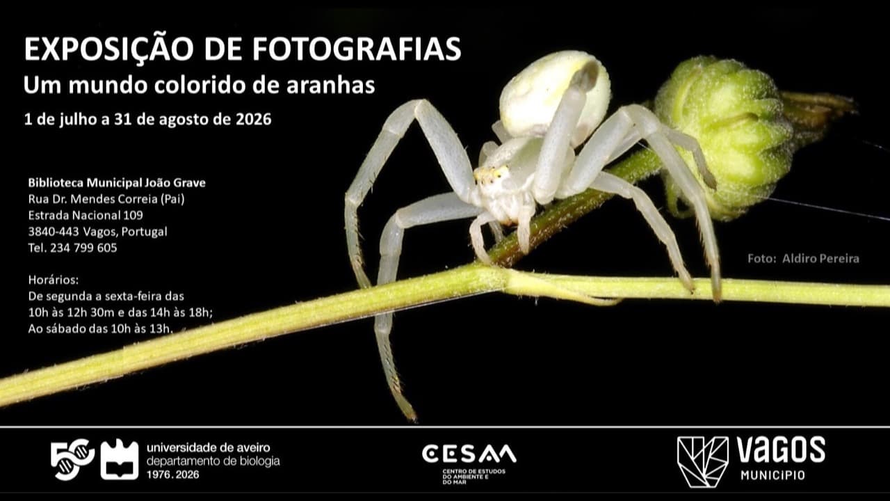 Imagem do evento: Exposição de Fotografia “Um Mundo Colorido de Aranhas”