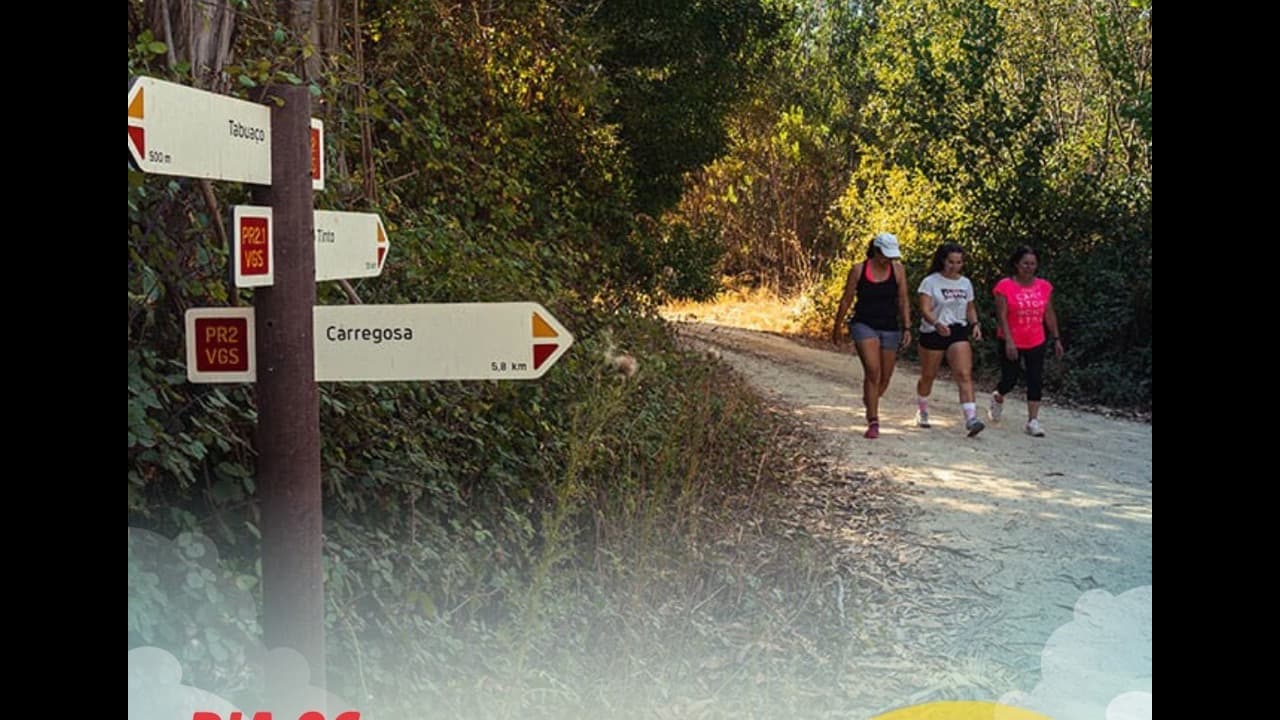 Imagem do evento: Vagos a Caminhar — Percurso Trilho de São Martinho