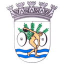 Emblema do Associação Desportiva de Valongo