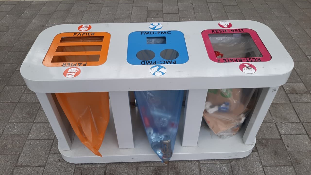 Imagem da notícia: APPACDM de Viseu transforma caminhada em ação ambiental