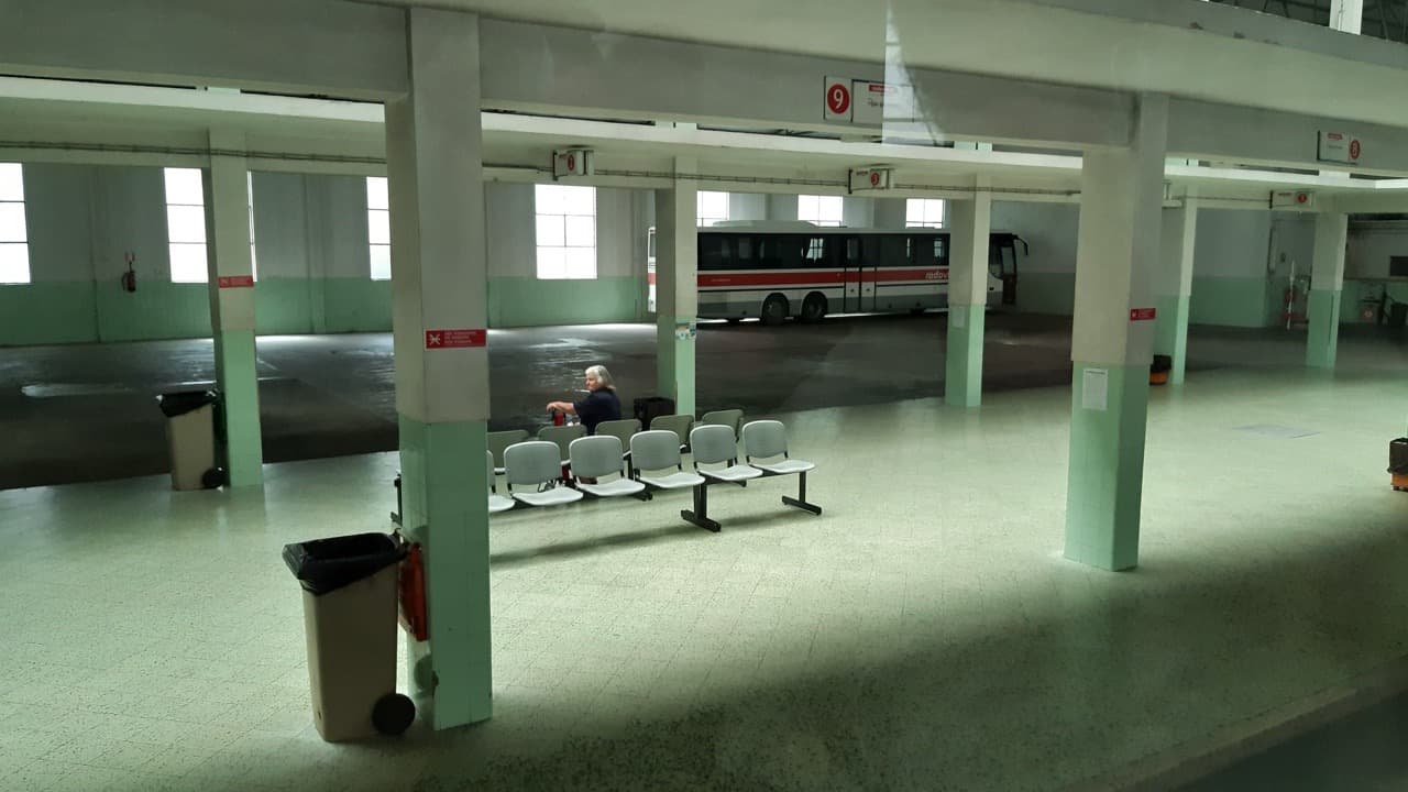 Imagem da notícia: Transportes públicos gratuitos para residentes de Viseu a partir de setembro