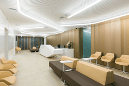Logótipo de Fisioclinic — Saúde em Funchal