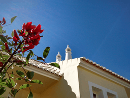 Logótipo de Luz Management — Imobiliário em Lagos