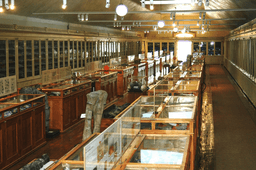 Logótipo de Museu Geológico — Cultura & Lazer em Lisboa