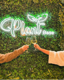 Logótipo de Plant Base — Restauração