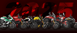 Logótipo de Ducati Norte — Automóvel em Porto