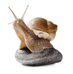 Logótipo de Casa dos Caracóis — Restauração em Seixal