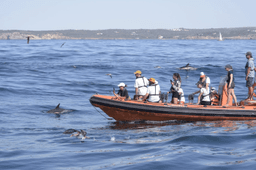 Logótipo de Mar Ilimitado — Serviços em Vila do Bispo