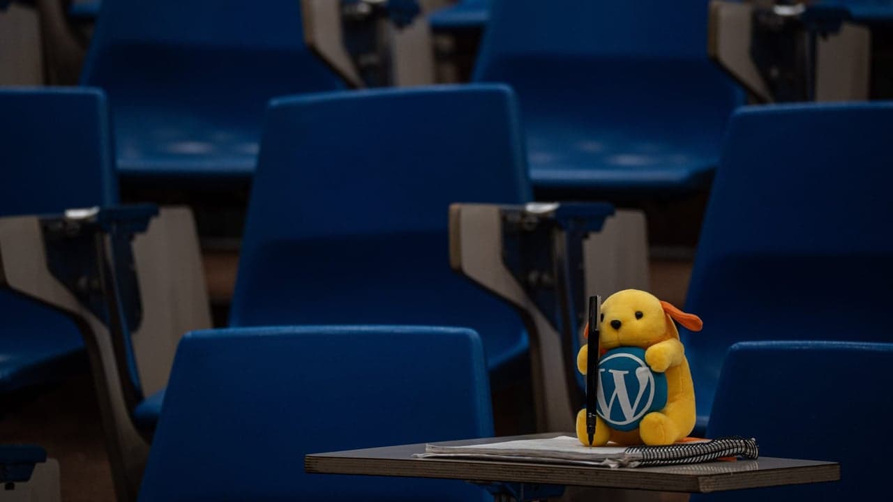 Imagem da notícia: Universidade de Coimbra acolhe novos estudantes com semana de integração