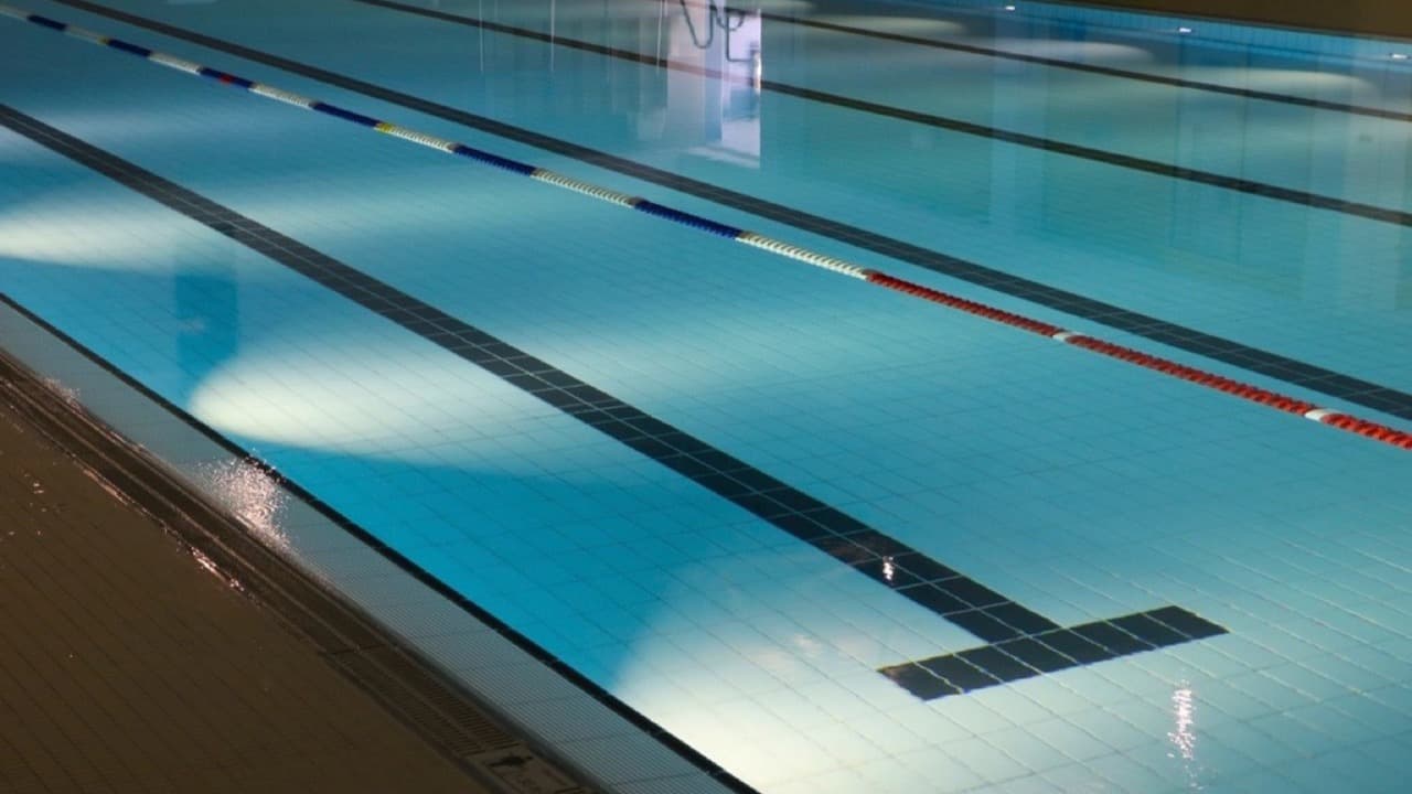 Imagem da notícia: Piscina Municipal de Estremoz reabre a 29 de agosto