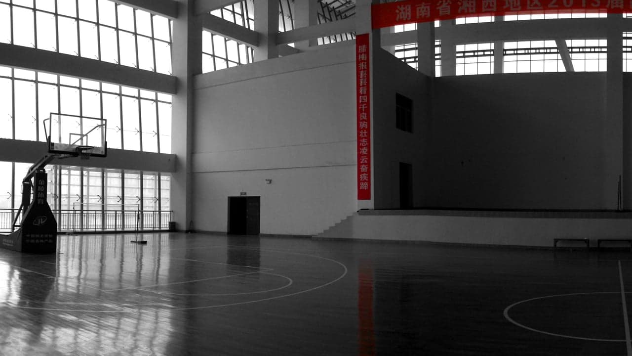 Imagem da notícia: Ílhavo envolve clubes e associações desportivas nas políticas municipais
