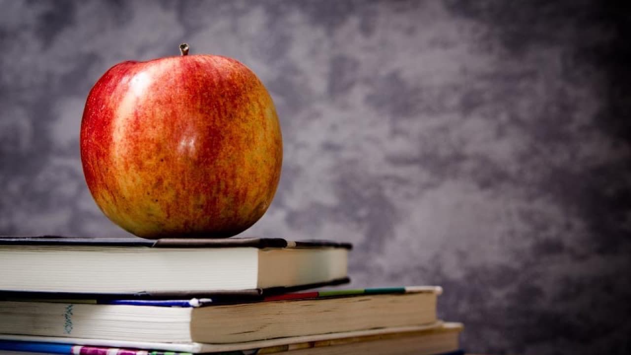 Imagem da notícia: Mação aumenta para 25 as bolsas de estudo do ensino superior