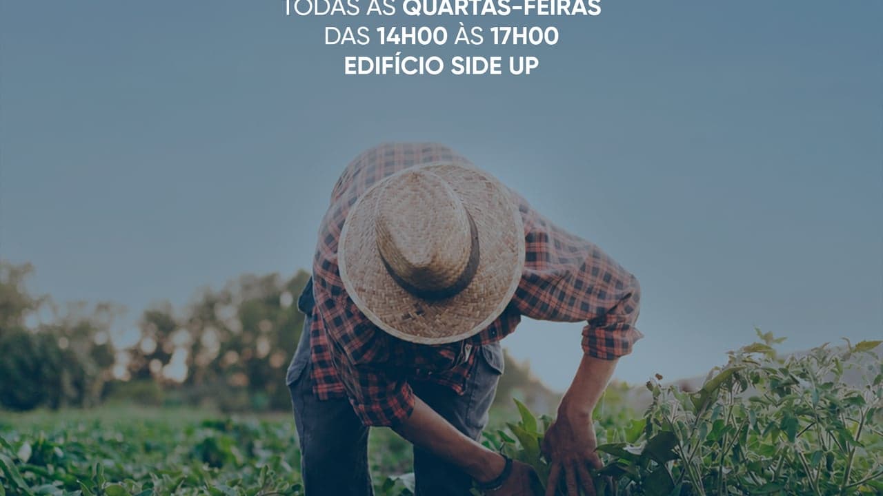 Imagem da notícia: Gabinete de Apoio ao Agricultor abre em Macedo de Cavaleiros