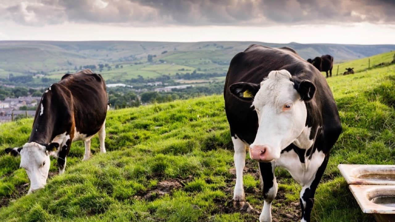 Imagem do evento: Colóquio "Mulheres Agricultoras — Vozes, Experiências e Desafios"